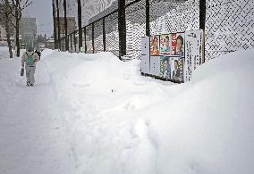 General election in Japan