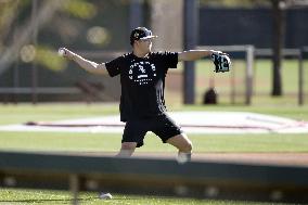 Baseball: MLB training