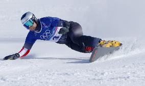 Milan Cortina Olympics: Snowboarding
