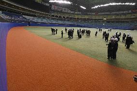 Biodegradable artificial turf at Vantelin Dome