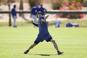 Baseball: MLB training