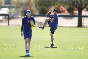 Baseball: MLB training