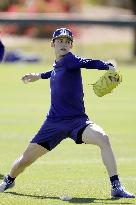 Baseball: MLB training