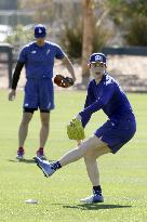 Baseball: MLB training