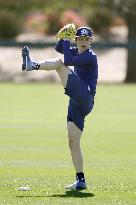 Baseball: MLB training