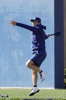 Baseball: MLB training