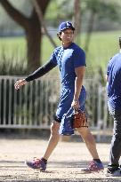 Baseball: MLB training