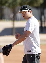 Baseball: MLB training