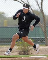 Baseball: MLB training