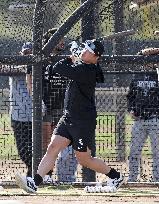 Baseball: MLB training