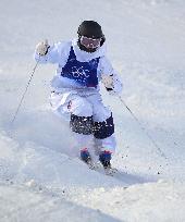 Milan Cortina Olympics: Freestyle skiing