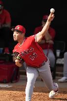 Baseball: MLB spring training