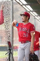 Baseball: MLB spring training