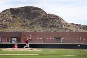 Baseball: MLB spring training