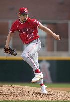 Baseball: MLB spring training