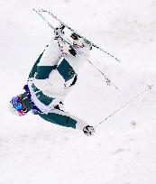 Milan Cortina Olympics: Freestyle skiing