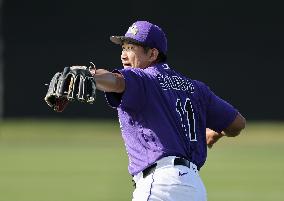 Baseball: MLB spring training