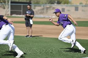 Baseball: MLB spring training