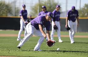 Baseball: MLB spring training