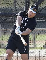 Baseball: MLB spring training