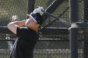 Baseball: MLB spring training