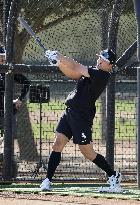 Baseball: MLB spring training