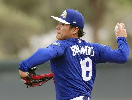 Baseball: MLB spring training