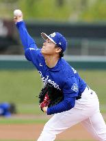 Baseball: MLB spring training