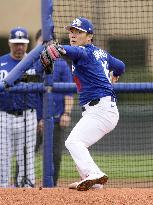 Baseball: MLB spring training