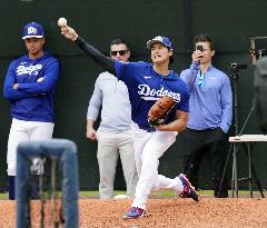 Baseball: MLB spring training