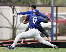 Baseball: MLB spring training