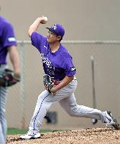 Baseball: MLB spring training