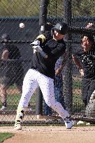 Baseball: MLB spring training