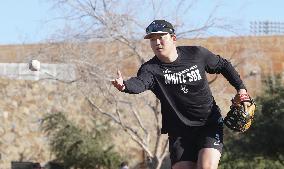 Baseball: MLB spring training