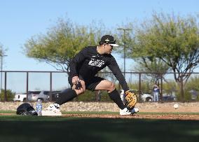 Baseball: MLB spring training