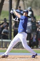 Baseball: MLB spring training