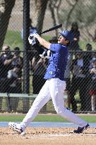 Baseball: MLB spring training