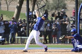 Baseball: MLB spring training