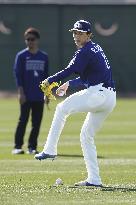 Baseball: MLB spring training