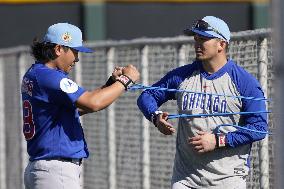 Baseball: MLB spring training