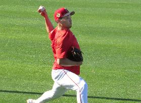 Baseball: MLB spring training