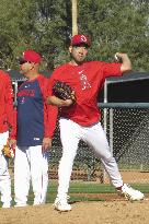 Baseball: MLB spring training