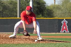 Baseball: MLB spring training