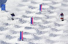 Milan Cortina Olympics: Freestyle skiing