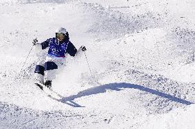 Milan Cortina Olympics: Freestyle skiing