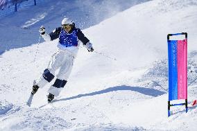 Milan Cortina Olympics: Freestyle skiing