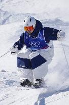 Milan Cortina Olympics: Freestyle skiing