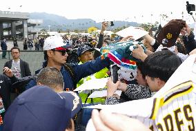 Baseball: Japan's WBC training