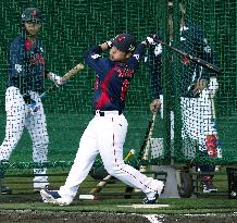 Baseball: Japan's WBC training