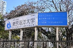 Tokyo University of Marine Science and Technology signboard and logo